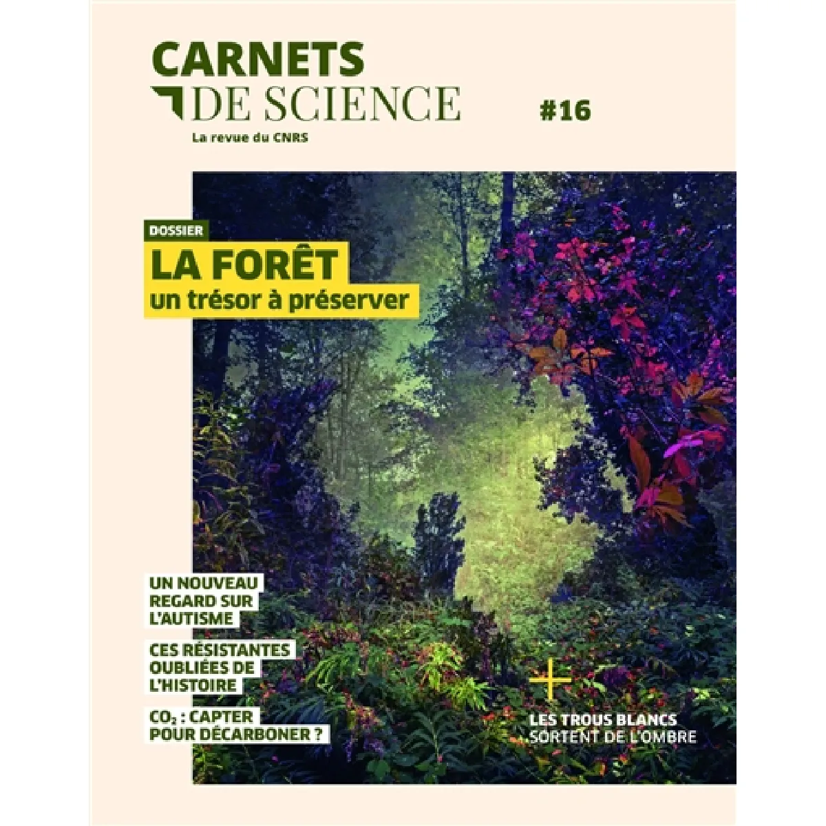 Carnets De Science, N° 16. La Forêt : Un Trésor à Préserver - Sciences ...