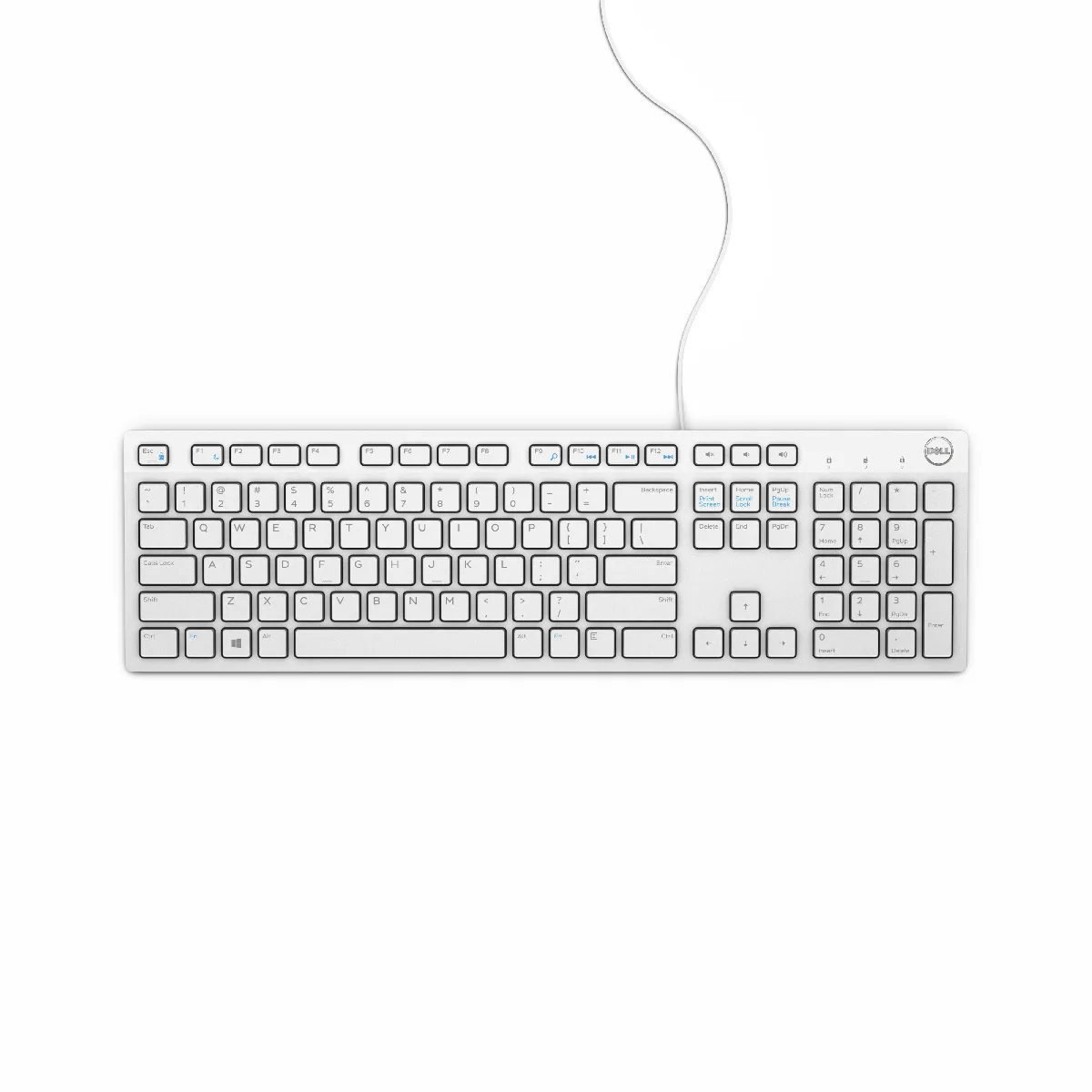 dell-kb216-clavier-usb-qwertz-allemand-blanc-rue-du-commerce-m24071532571