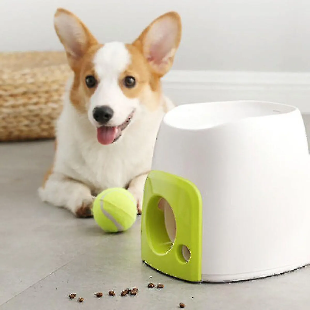 Lanceur De Balles Interactif Automatique Pour Chien - Machine De Récompense Alimentaire - Machine à Lancer De Balles De Tennis Pour l'Entraînement Des Chiens-Blanc + Vert