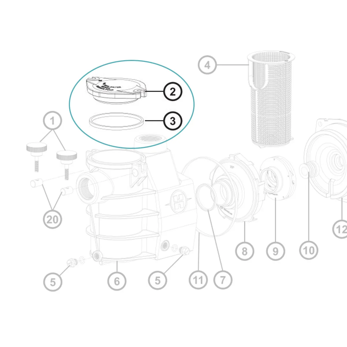 Couvercle et joint de préfiltre pour pompe Max Flo - Hayward