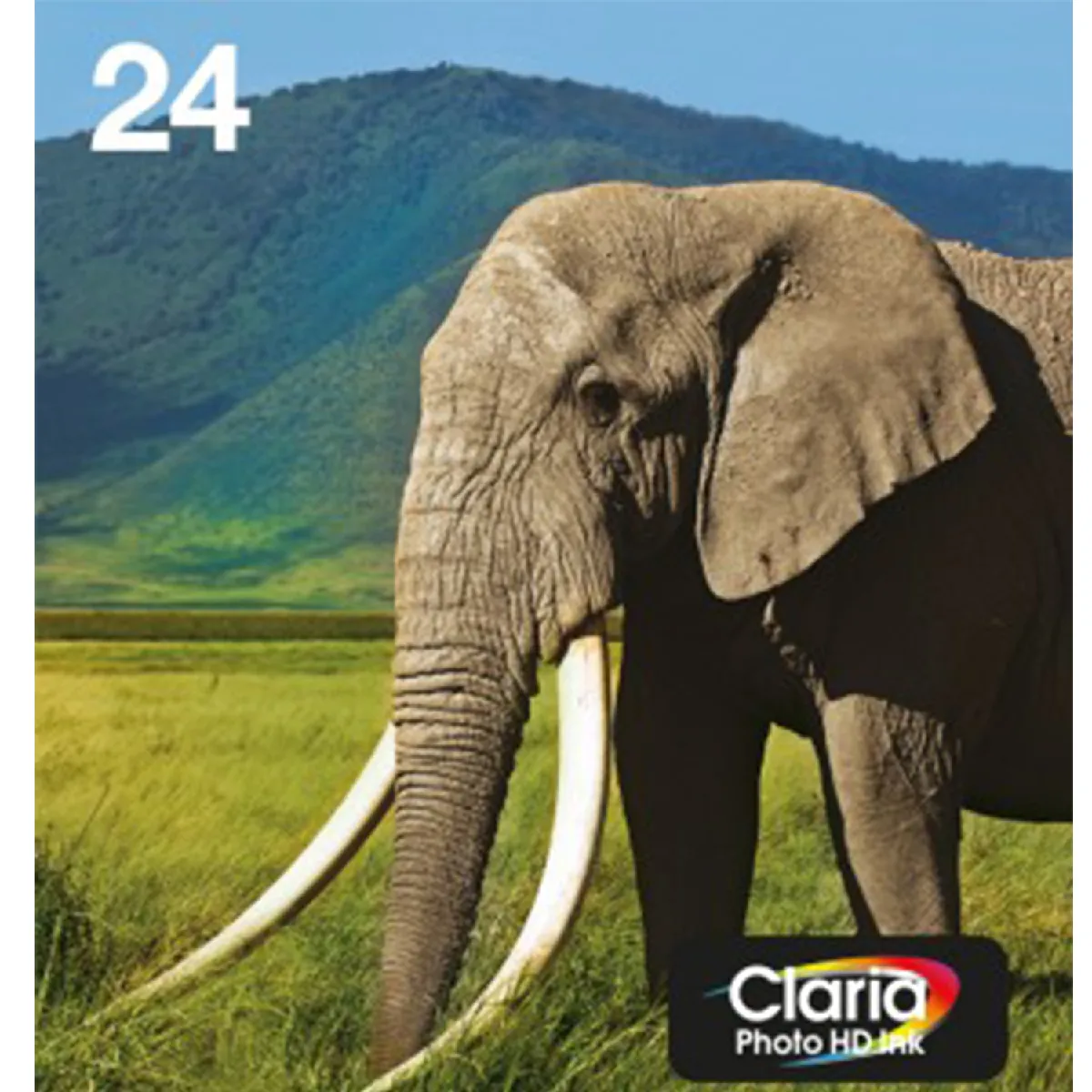 easymail-multipack-elephant-claria-photo-hd-n-24-n-c-m-j-cc-mc-rue-du-commerce-39136101664