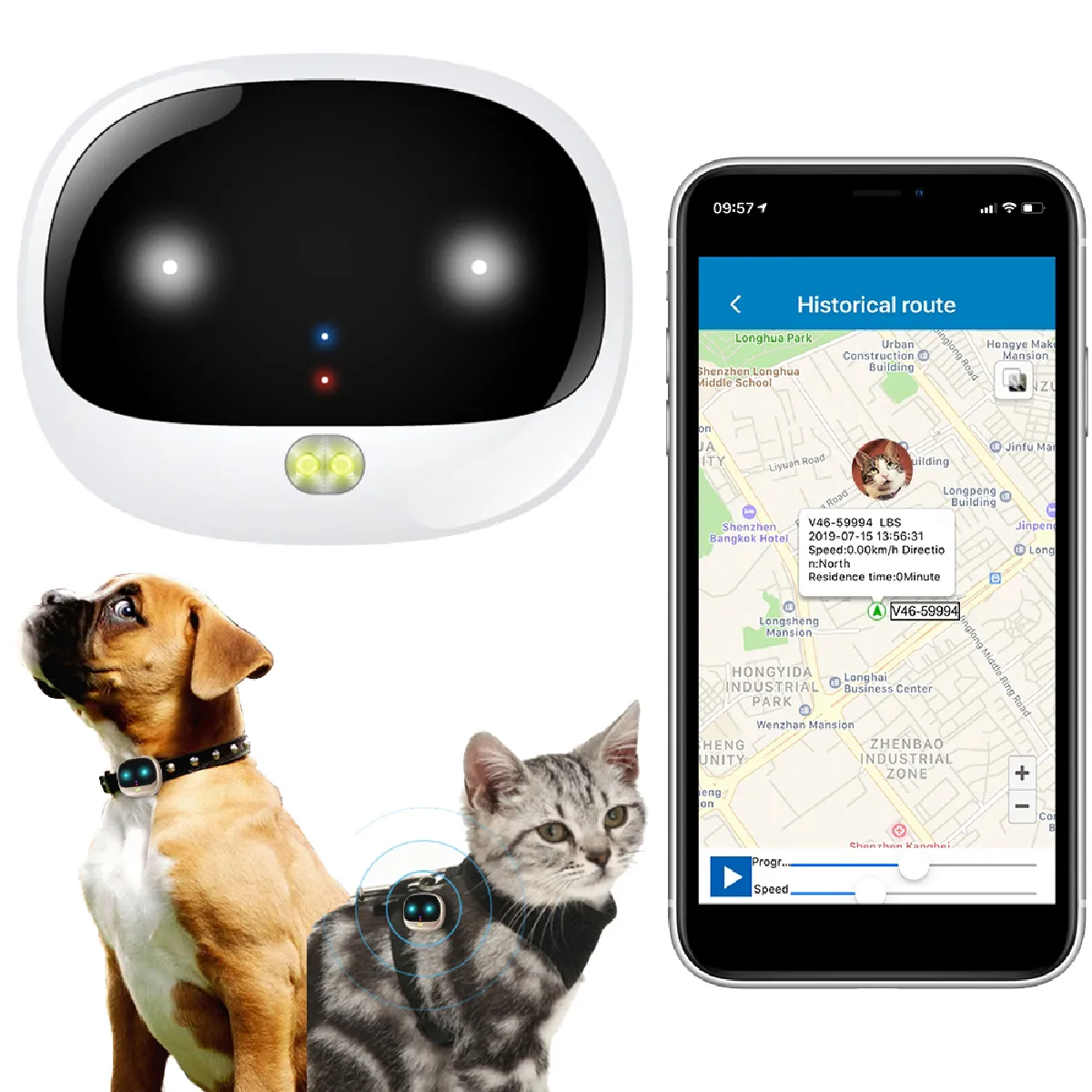 Traceur GPS 4G Chien Chat