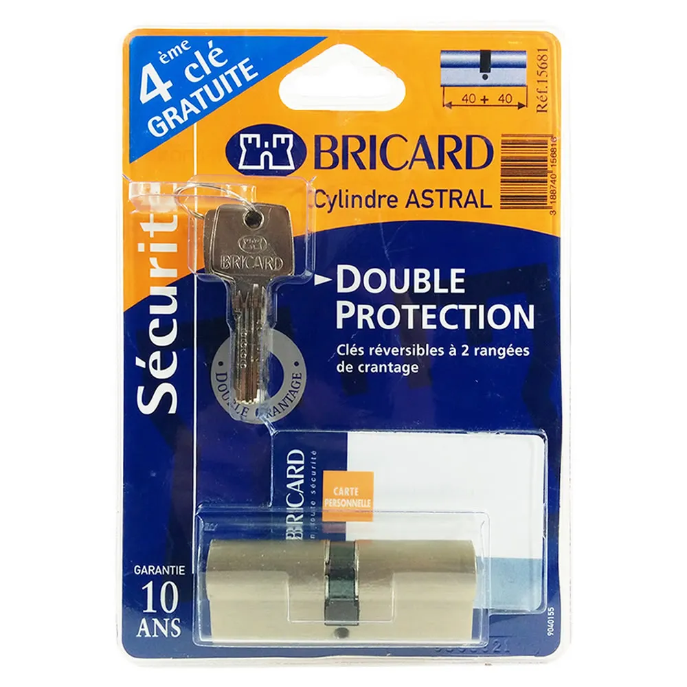 Serrure Cylindre BRICARD ASTRAL + 30/40 Anti-arrachage renforcé avec 5 Clés - Bricolage