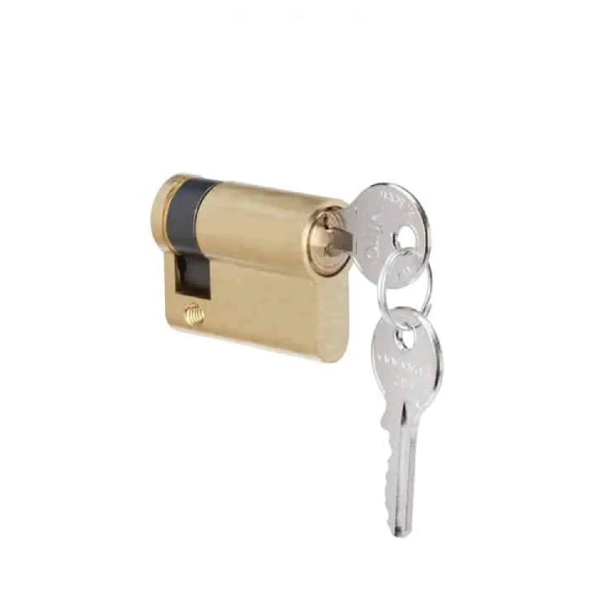 Faac Canon De Serrure T20/T21