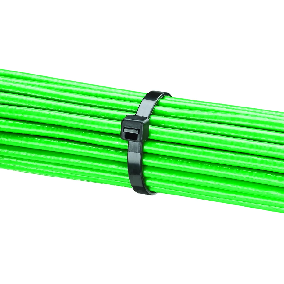 Panduit Colliers De Câblage Nylon - Lot De 100