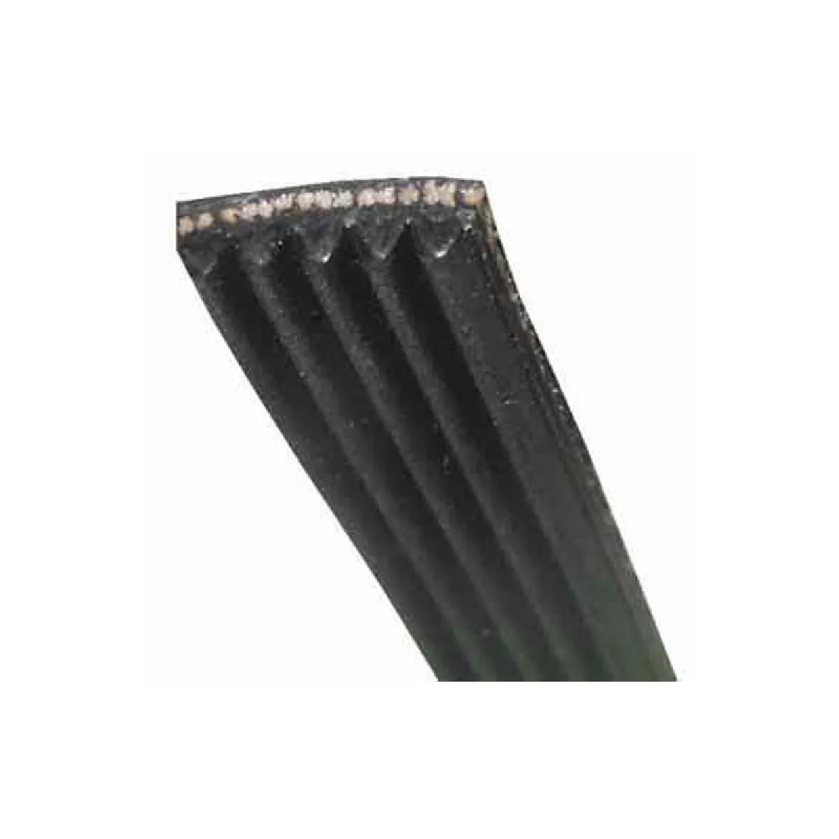 Courroie pour lave linge Indesit 1201J6EL1198J6 Élastique Pièce dorigine - vue 5