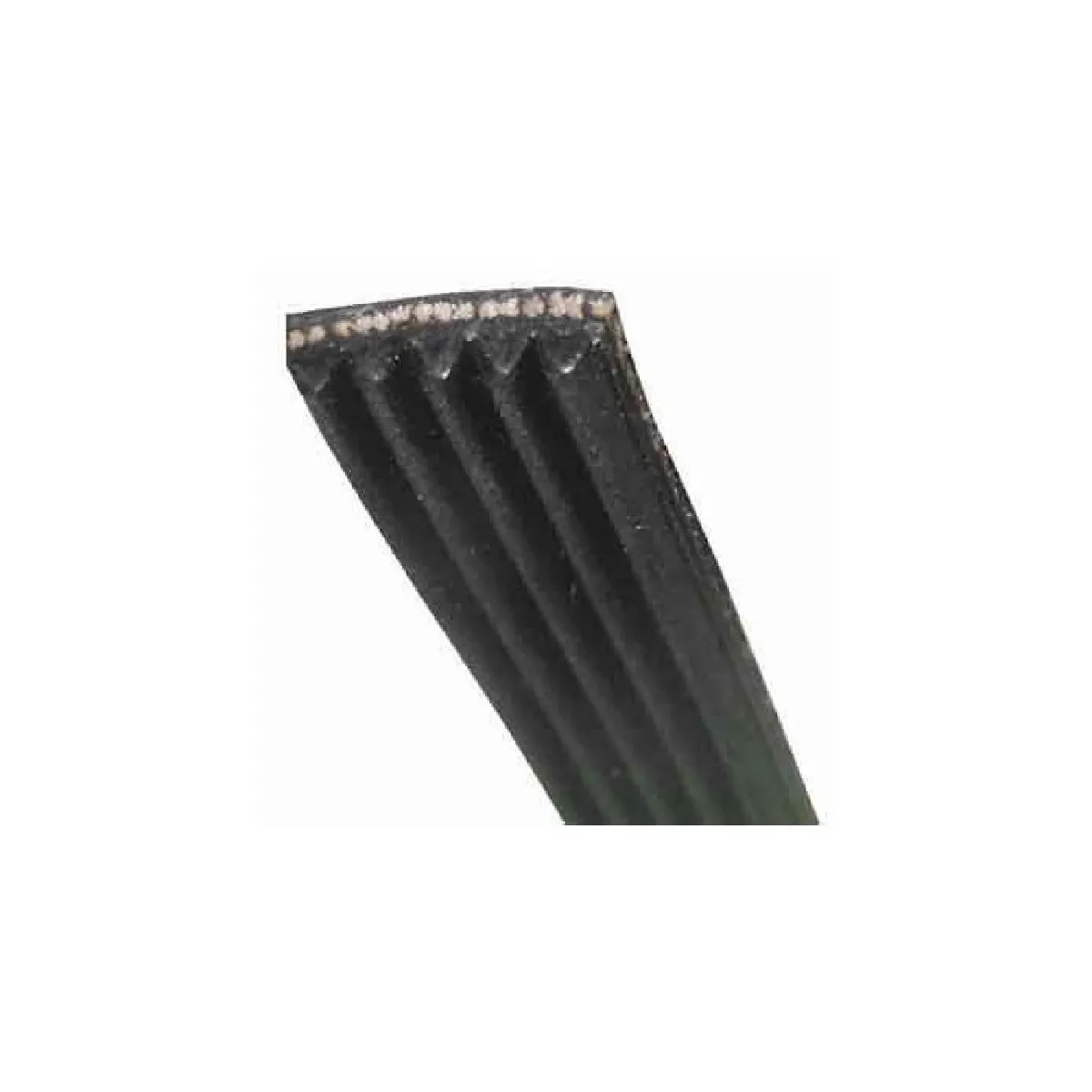 Vedette Courroie De Lave-Linge - 113.151 - Image 3