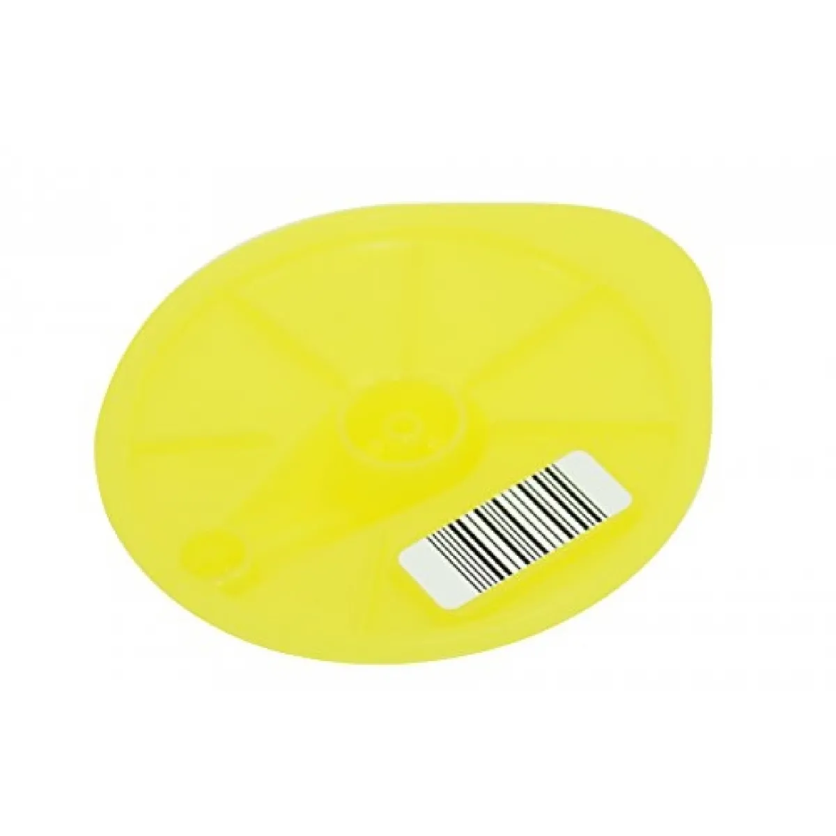 Bosch Disque de nettoyage Tassimo