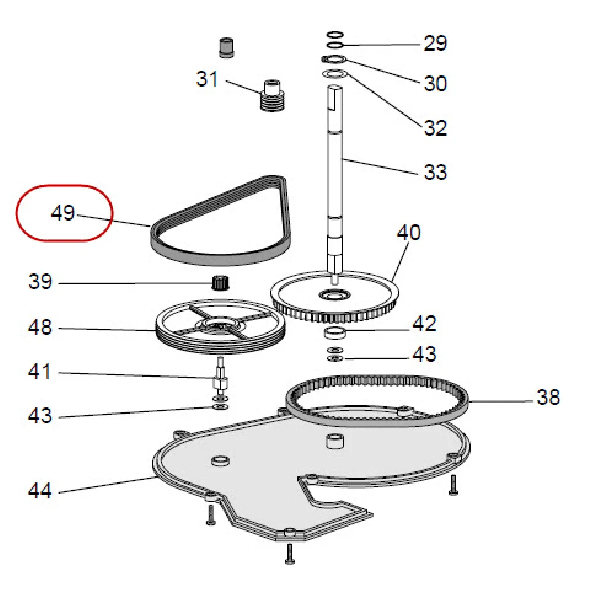 DeLonghi Courroie Rep 49 Poly V