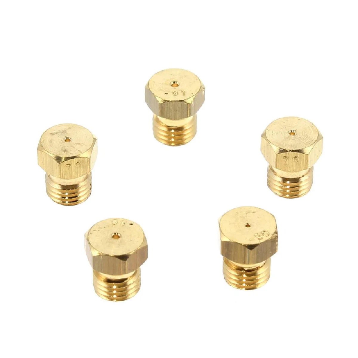 Indesit 5 Injecteurs butane propane