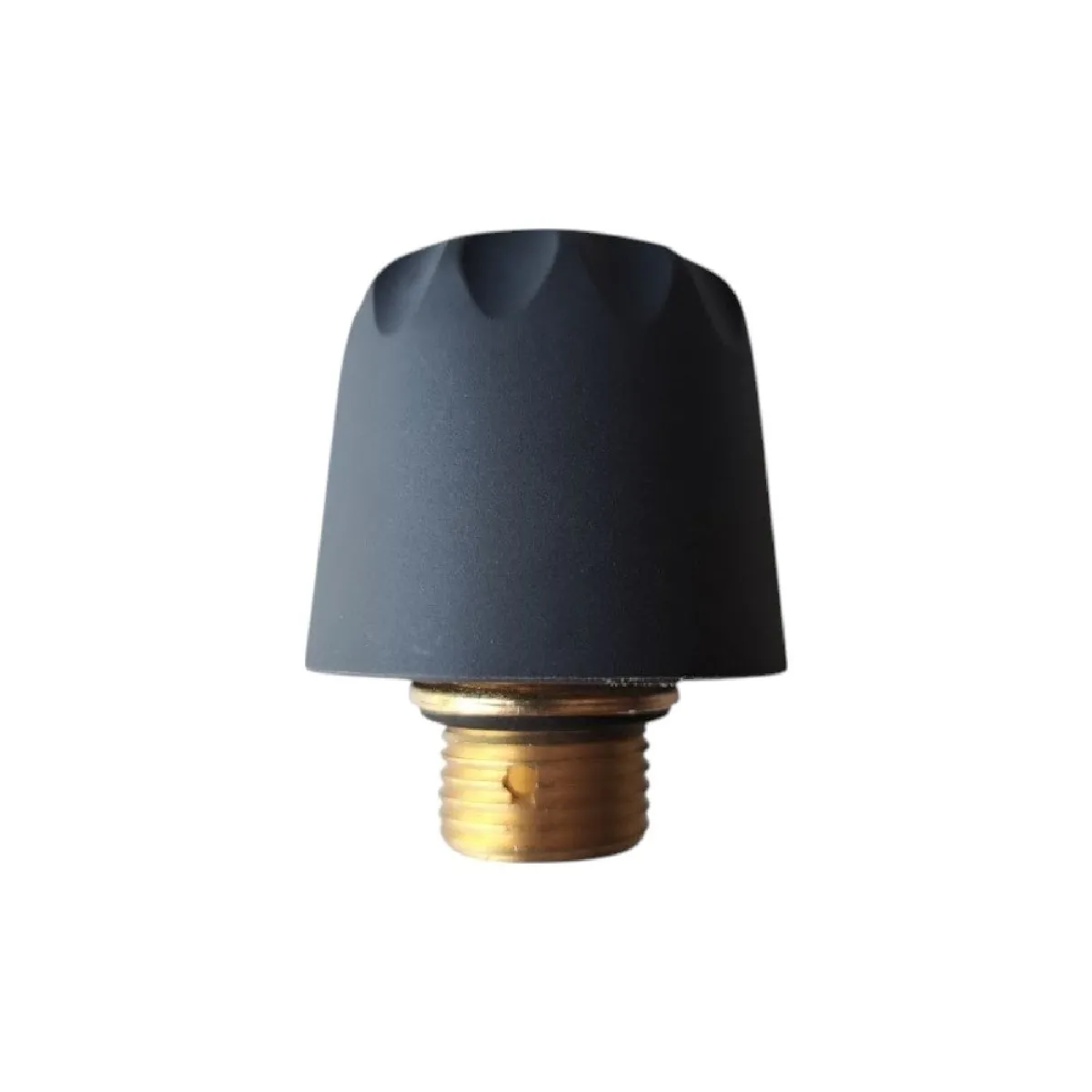 Polti Bouchon De Chaudiere 5 Bar Pour Pieces Entretien Du Linge Petit Electromenager - M0002861 - Image 3