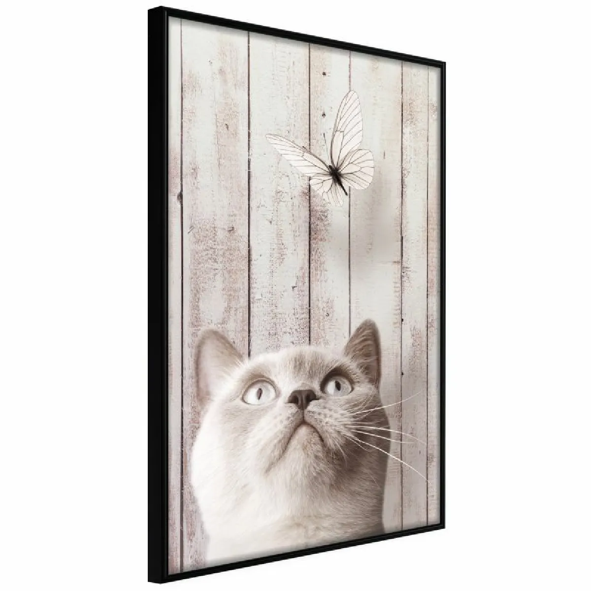 Paris prix Piercing Look - 60 cm