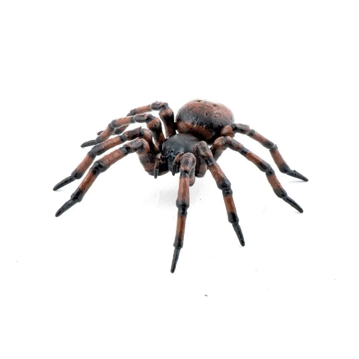 Comparer les prix de Papo figurine araignée commune