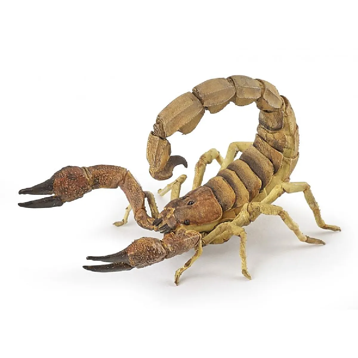 Papo - Figurine Scorpion - Jouet pour Enfant - Image 3