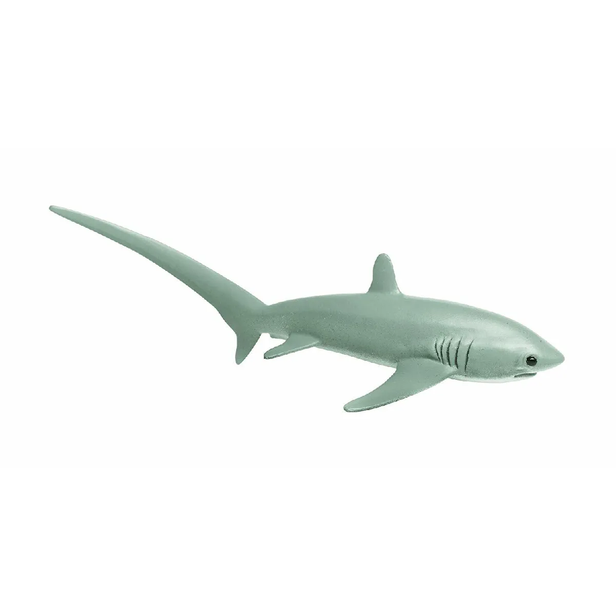 Meilleurs prix pour Safari Requin-Renard