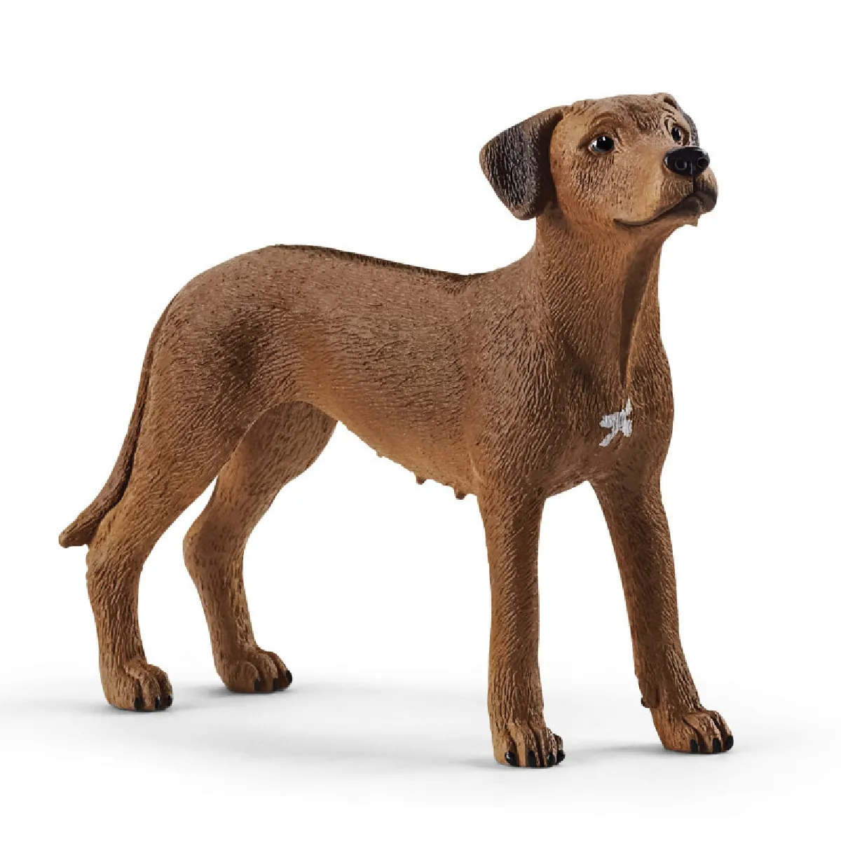 Schleich figurine chien Rhodesian Ridgeback