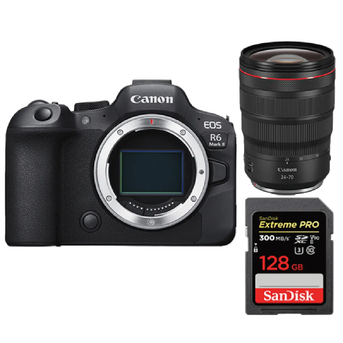 Canon R6 II + RF 24 70mm + Carte SDXC
