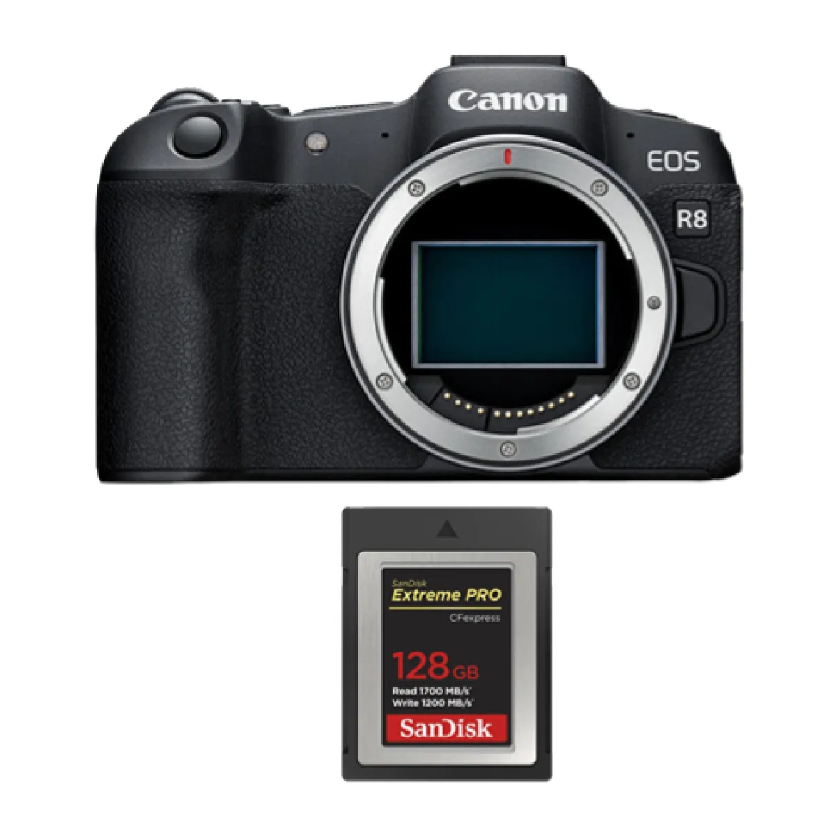 Canon EOS R8 + SanDisk CFexpress