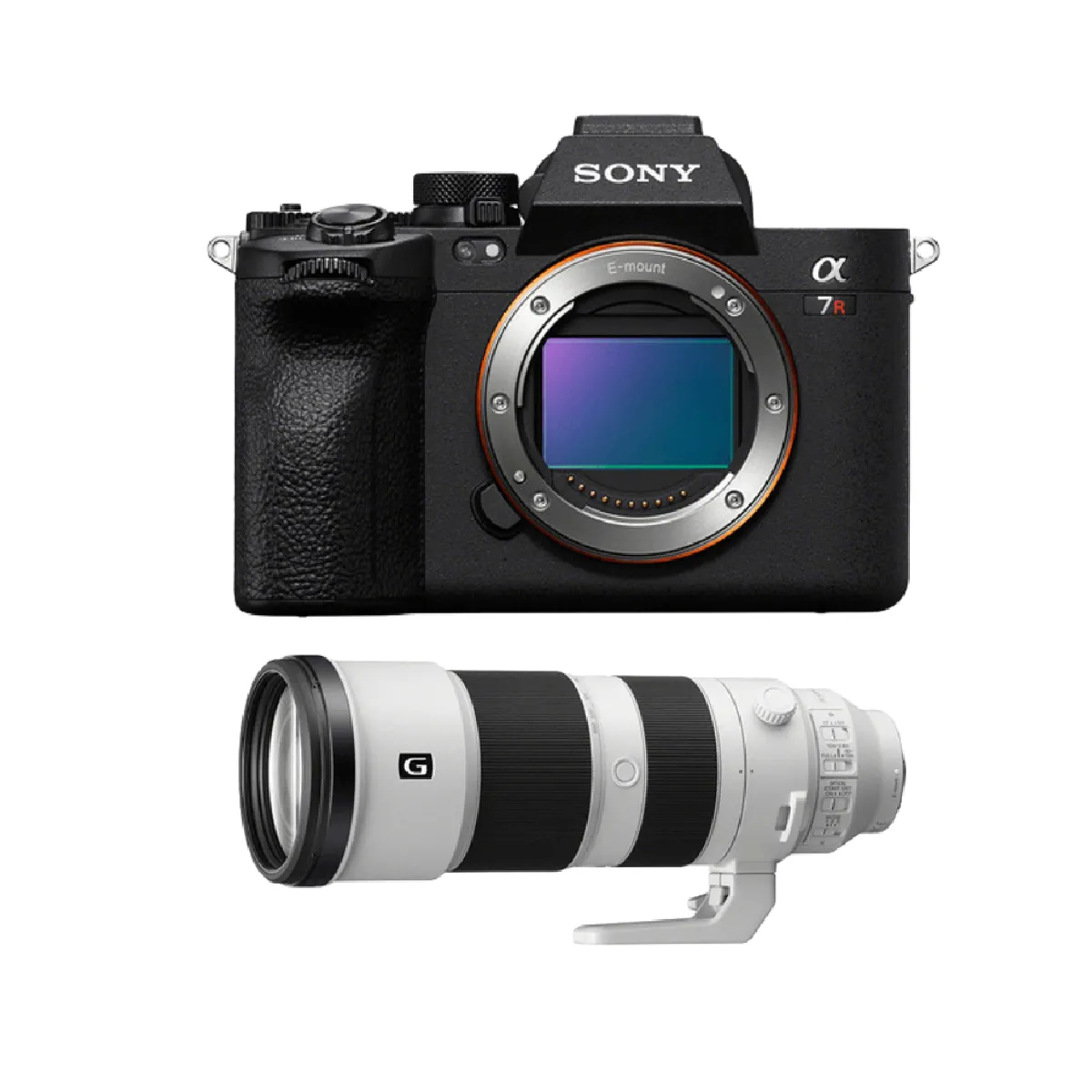 Sony A7R V + FE 200 600mm f5.6 6.3 G OSS