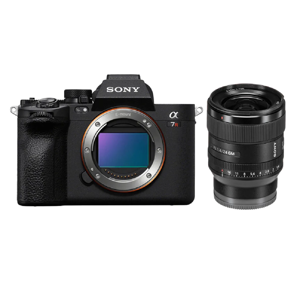 Sony A7R V + FE 24mm f1.4 GM