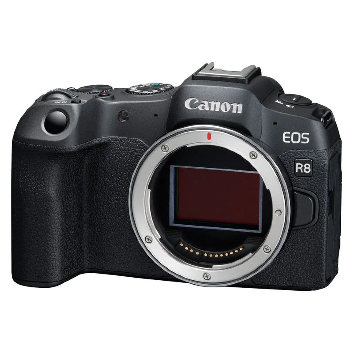 Canon Eos R8