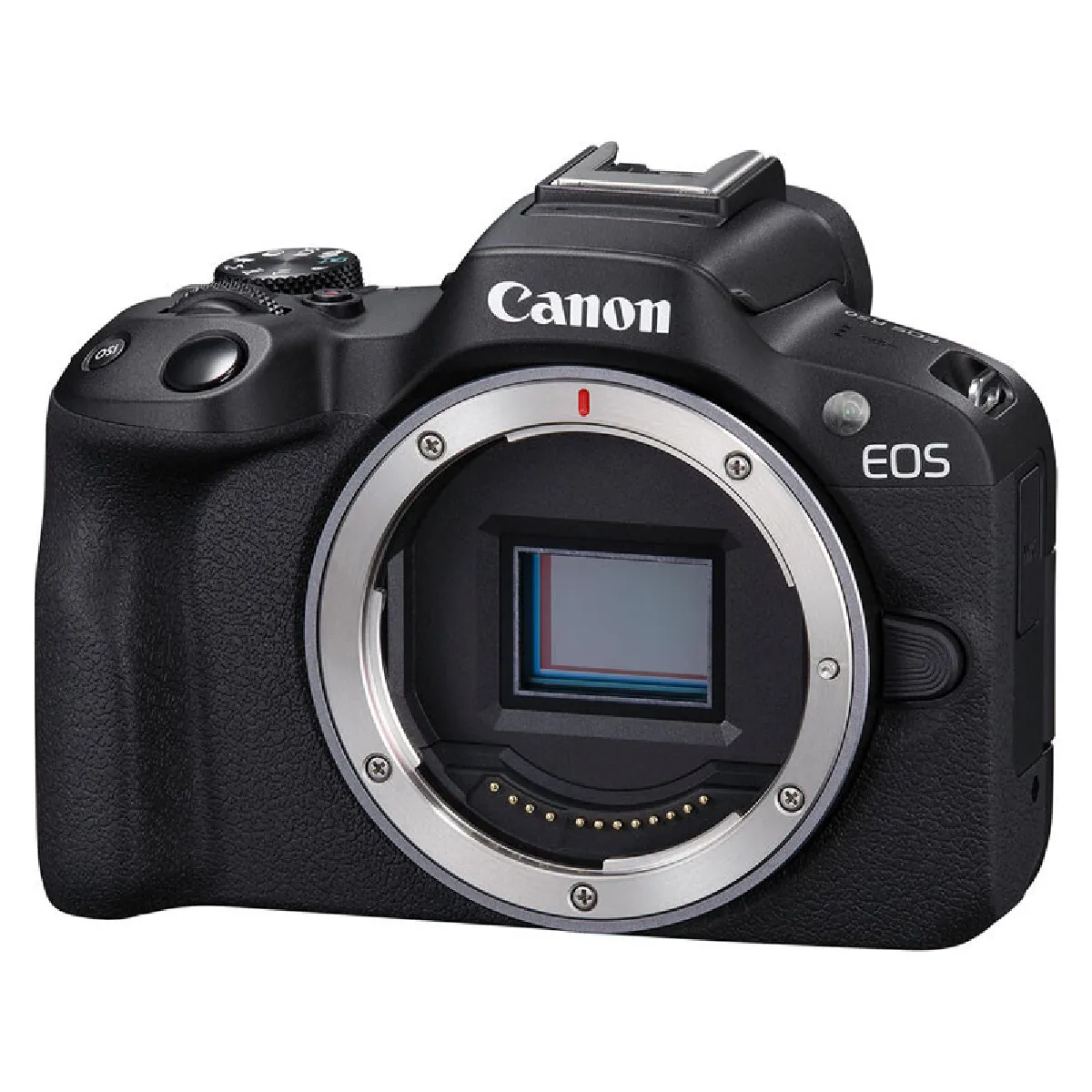 Canon Eos R50