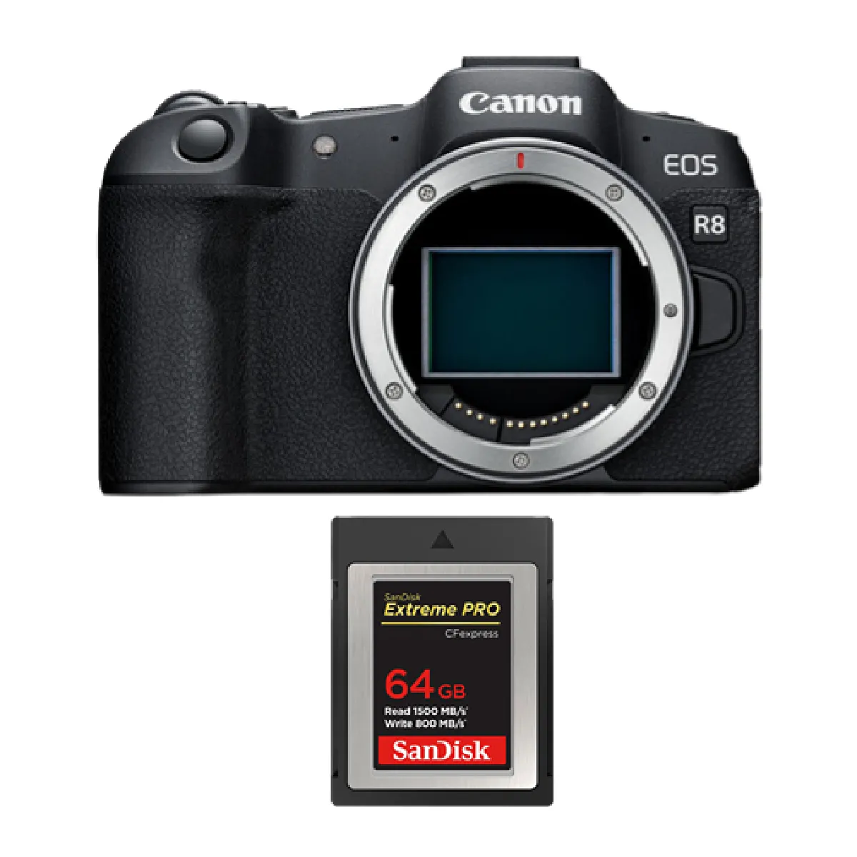 Canon EOS R8 + SanDisk CFexpress - vue 2
