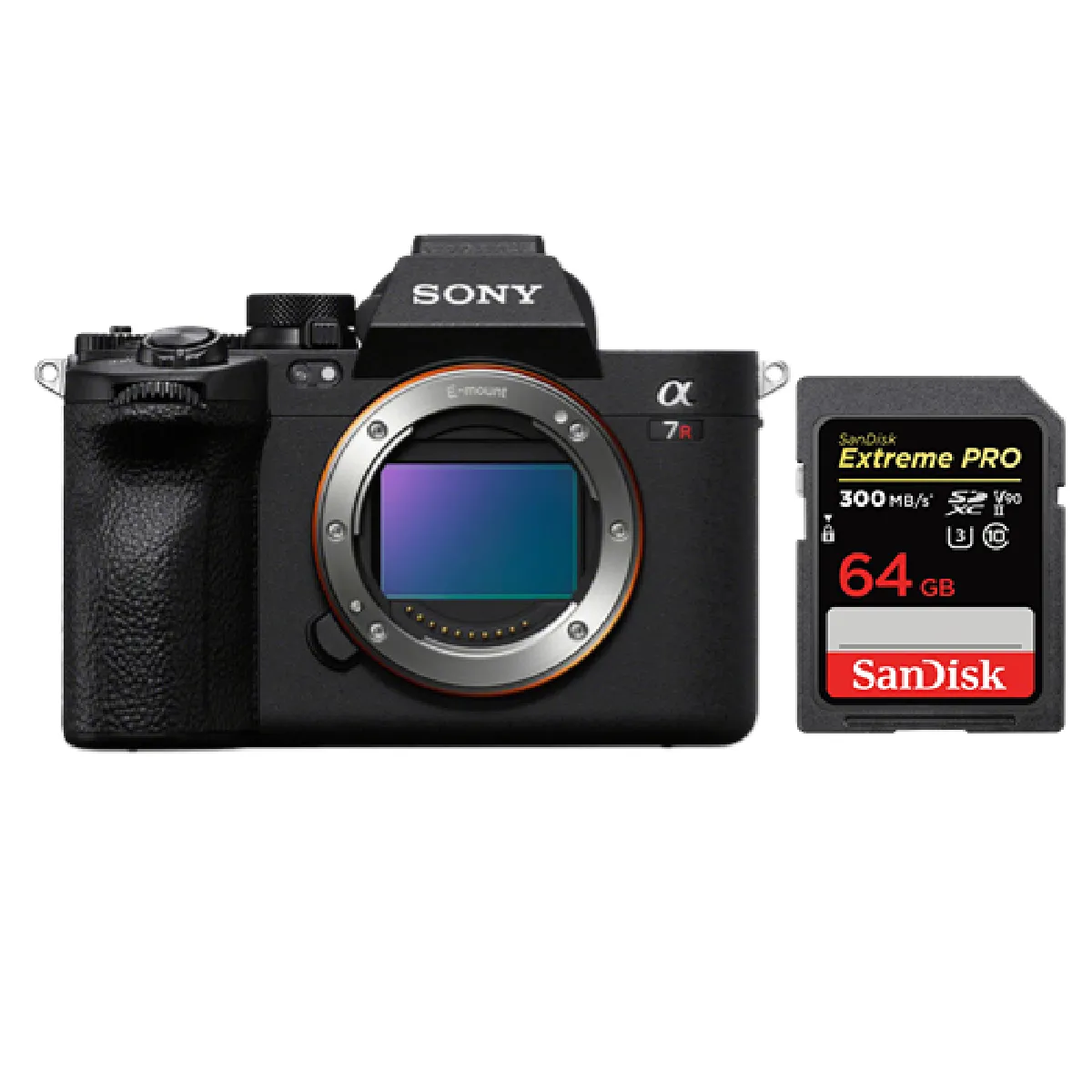 Sony A7R V + SanDisk