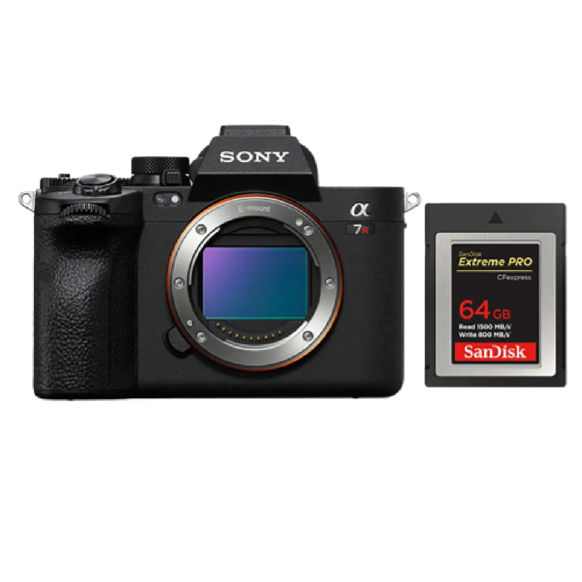 Sony A7R V + SanDisk CFexpress