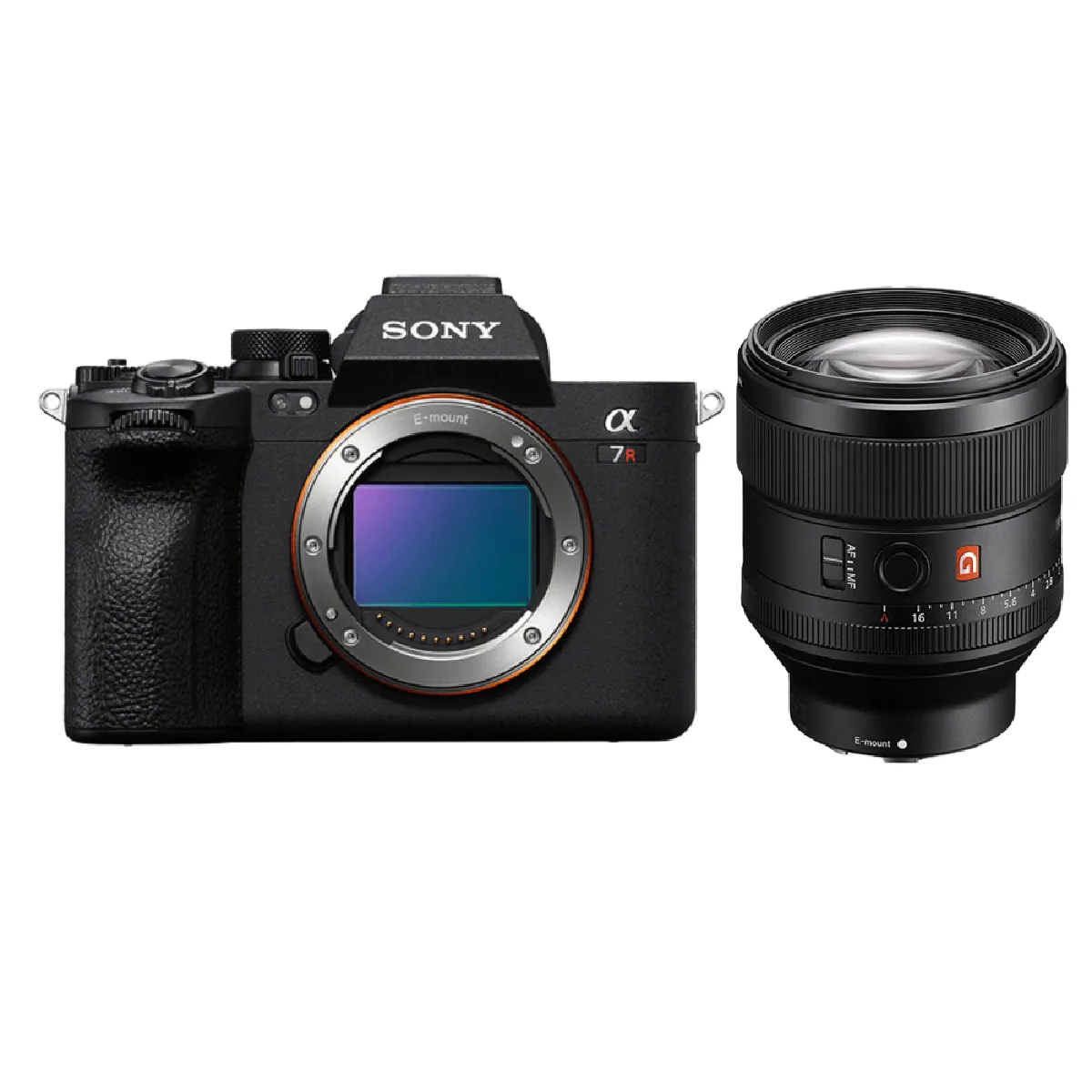 Sony A7R V + FE 85mm f1.4 GM