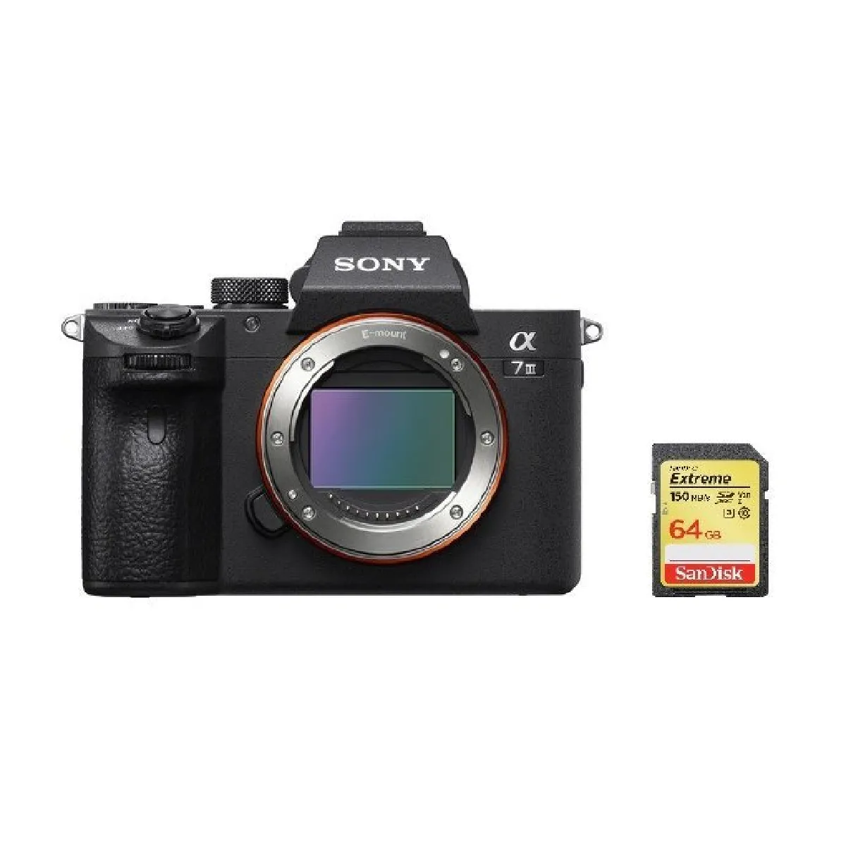 Sony A7 III + SD Card