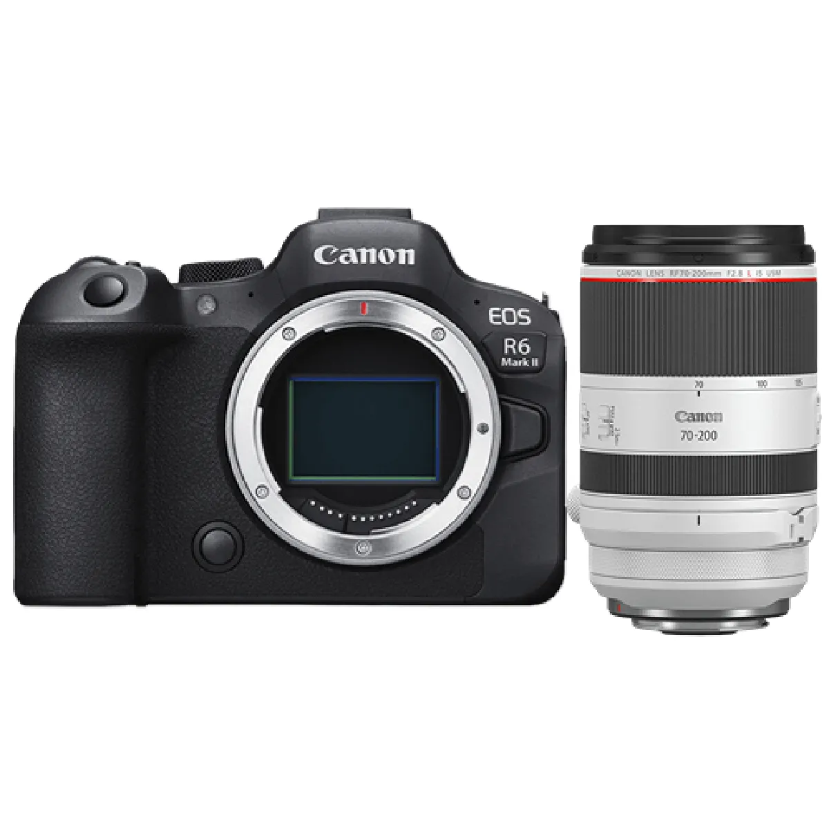 Canon EOS R6 II + RF 70 200mm