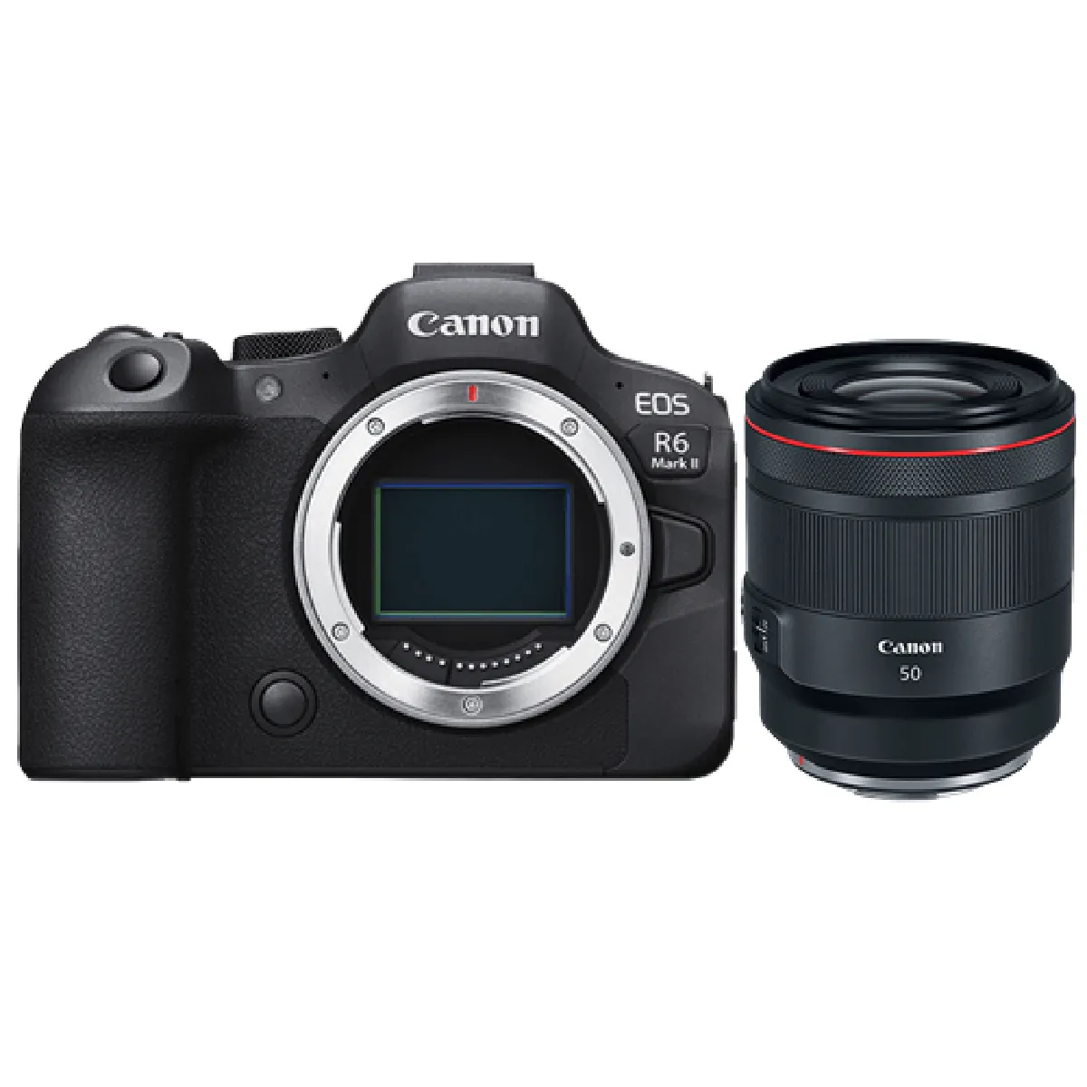 Canon EOS R6 Mark II + RF 50mm f1. USM