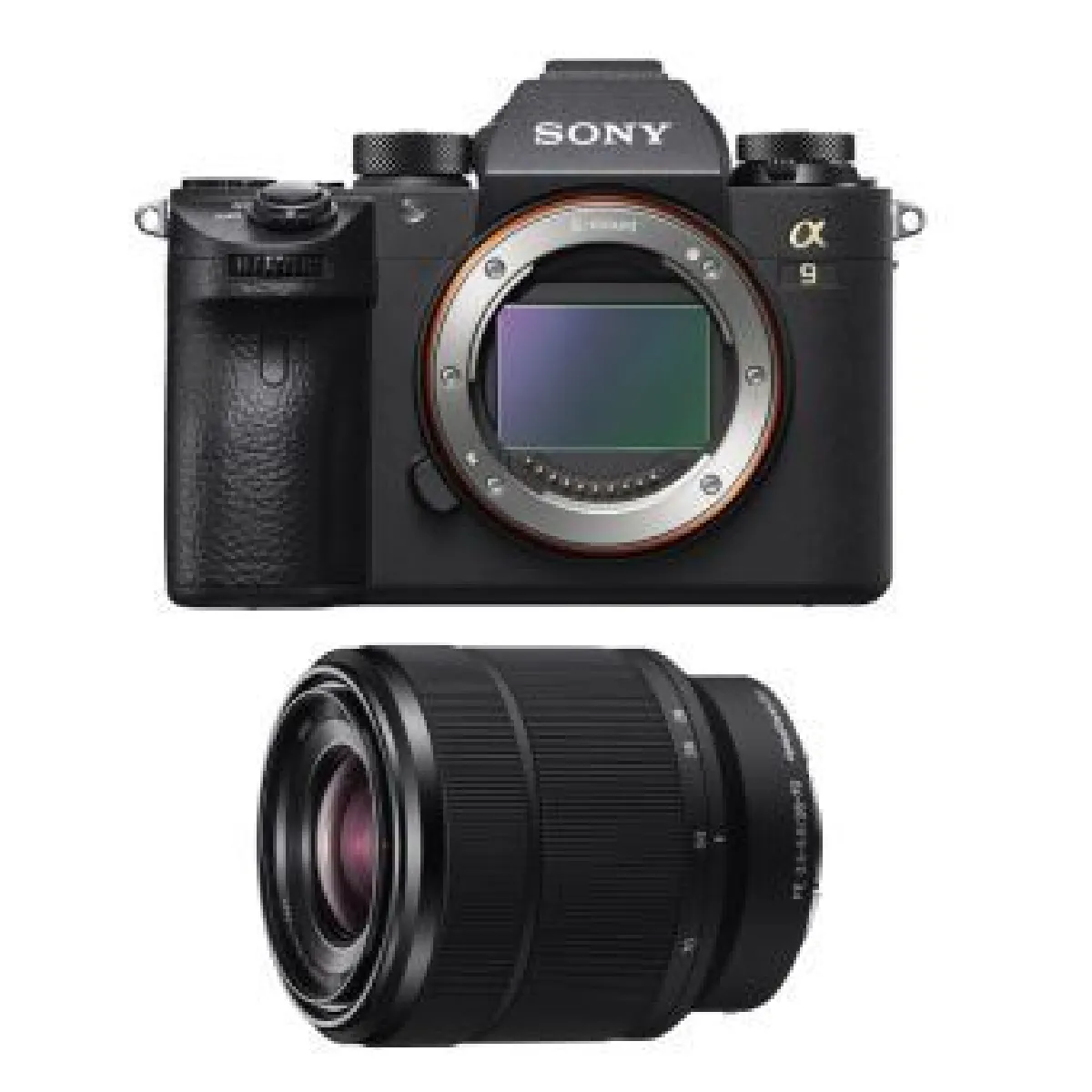 Sony A9 + Sel 28-70Mm F3.5-5.6 Oss