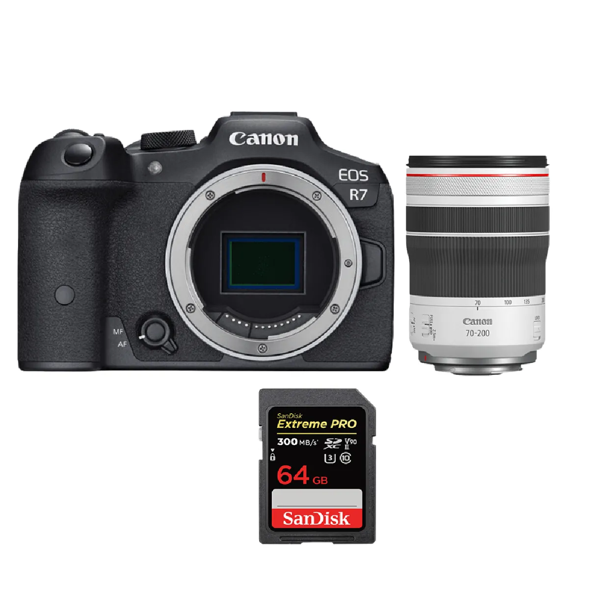 Canon EOS R7 + RF 70-200mm + 64 Go