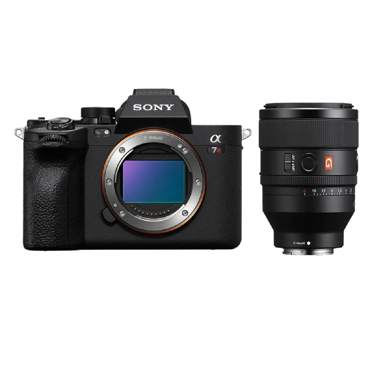 Sony A7R V + FE 50mm
