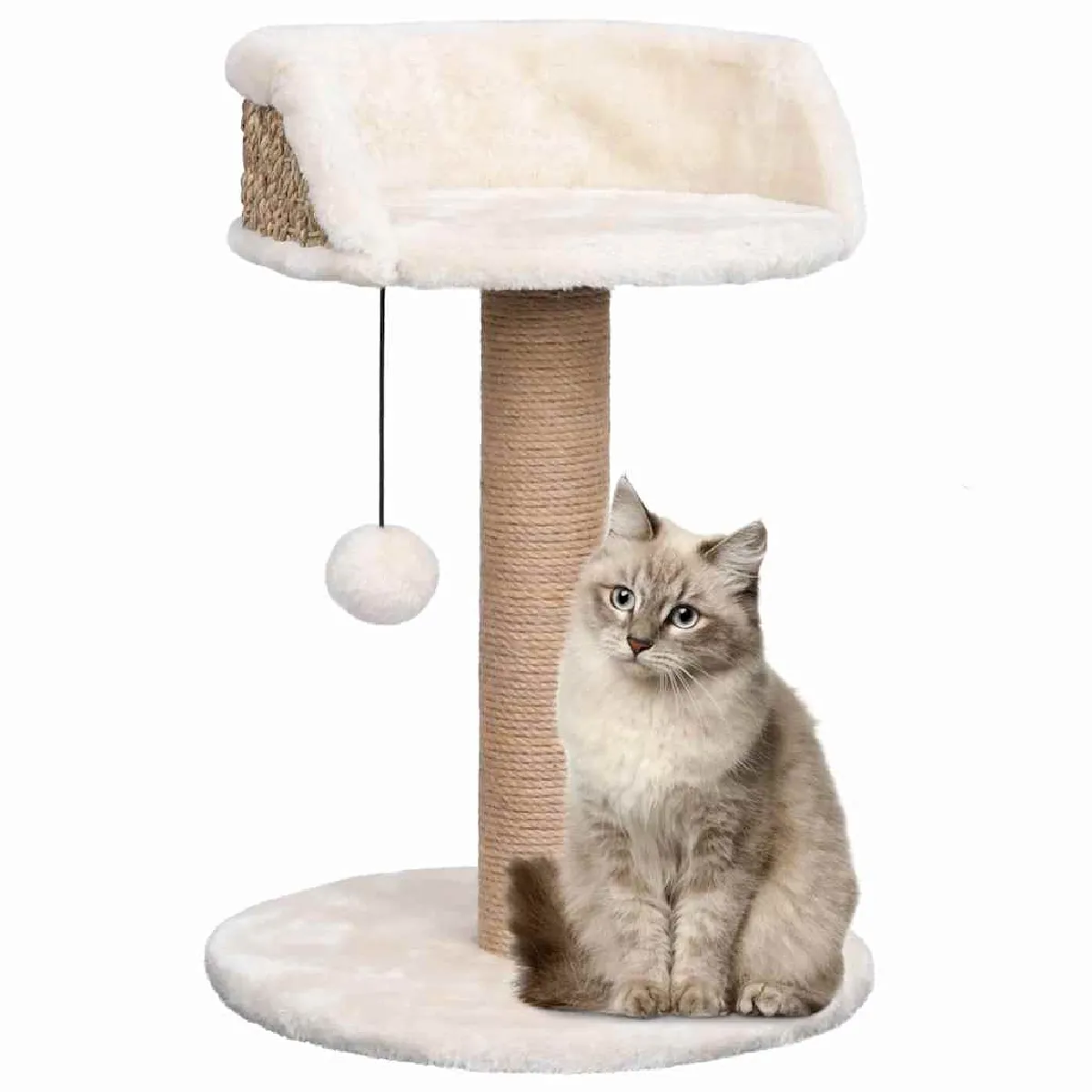 Vidaxl Arbre à chat avec griffoirs 49 cm Herbiers marins