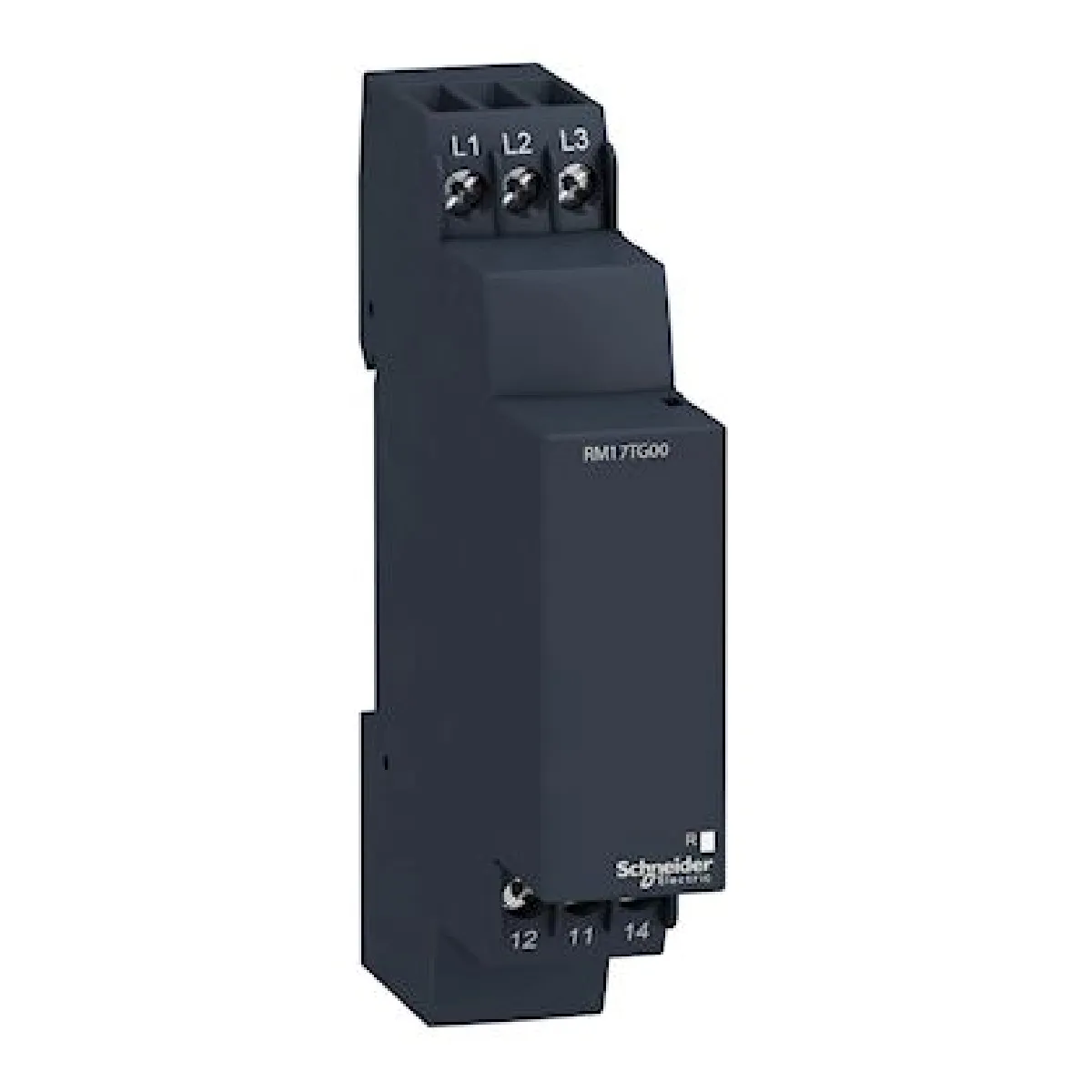 Schneider Electric RM17TG00 - vue 4