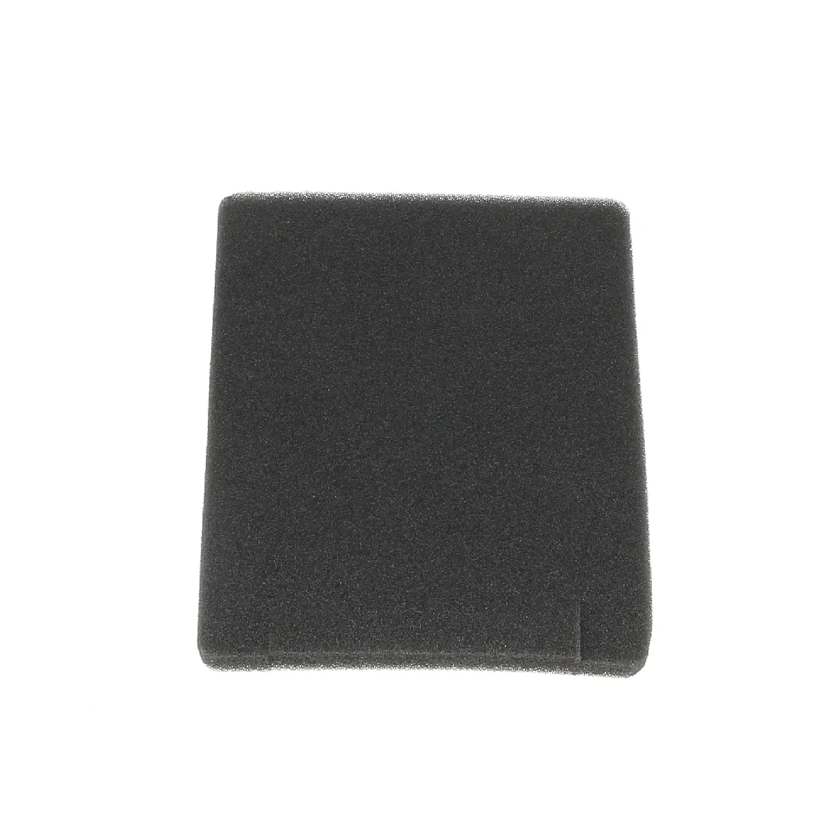 Filtre Éponge Electrolux – Compatible Aspirateurs, Accessoire d'Entretien
