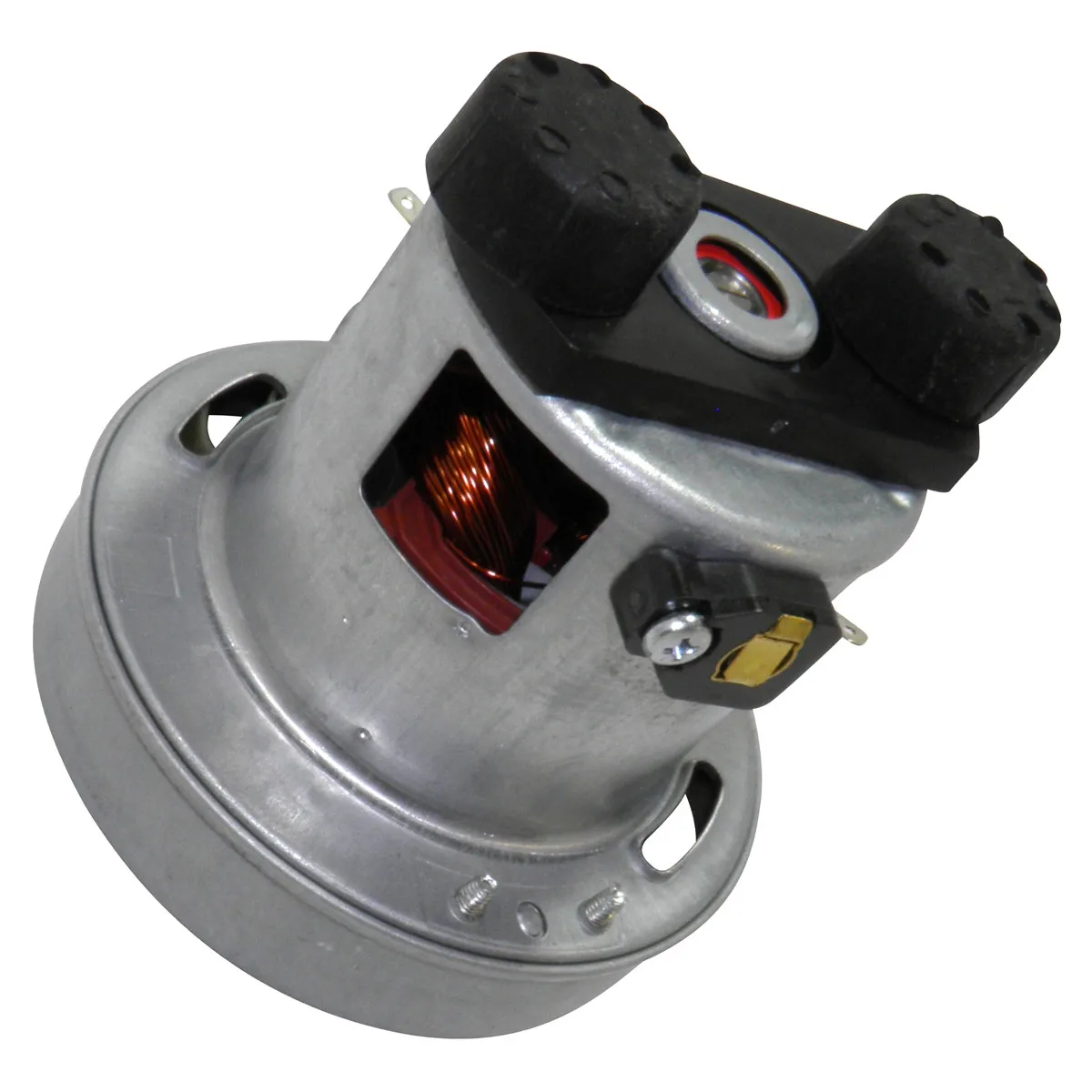 RowentaMoulinex RS RT900587 Moteur