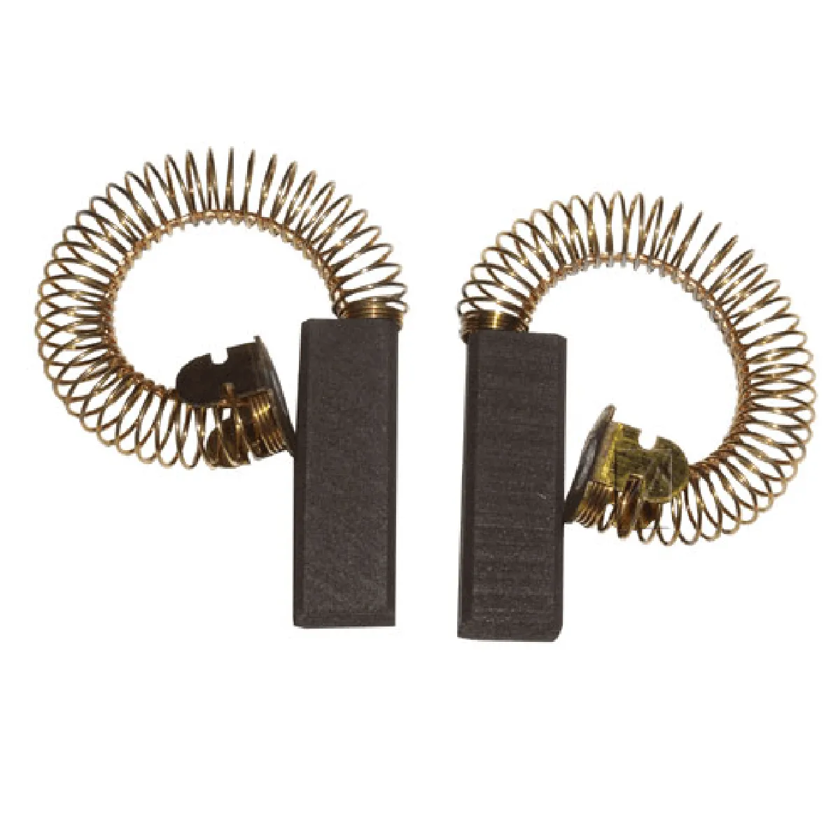 Balai Moteur Electrolux x2