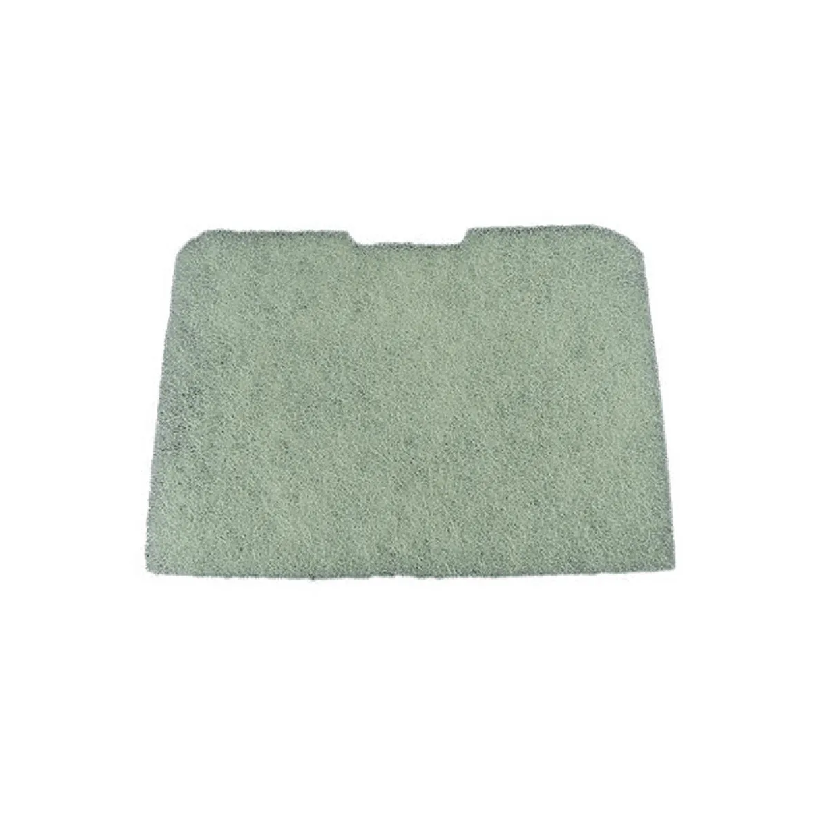 Filtre D'Entrée Moteur Rowenta RS-RT9659 – Mousse
