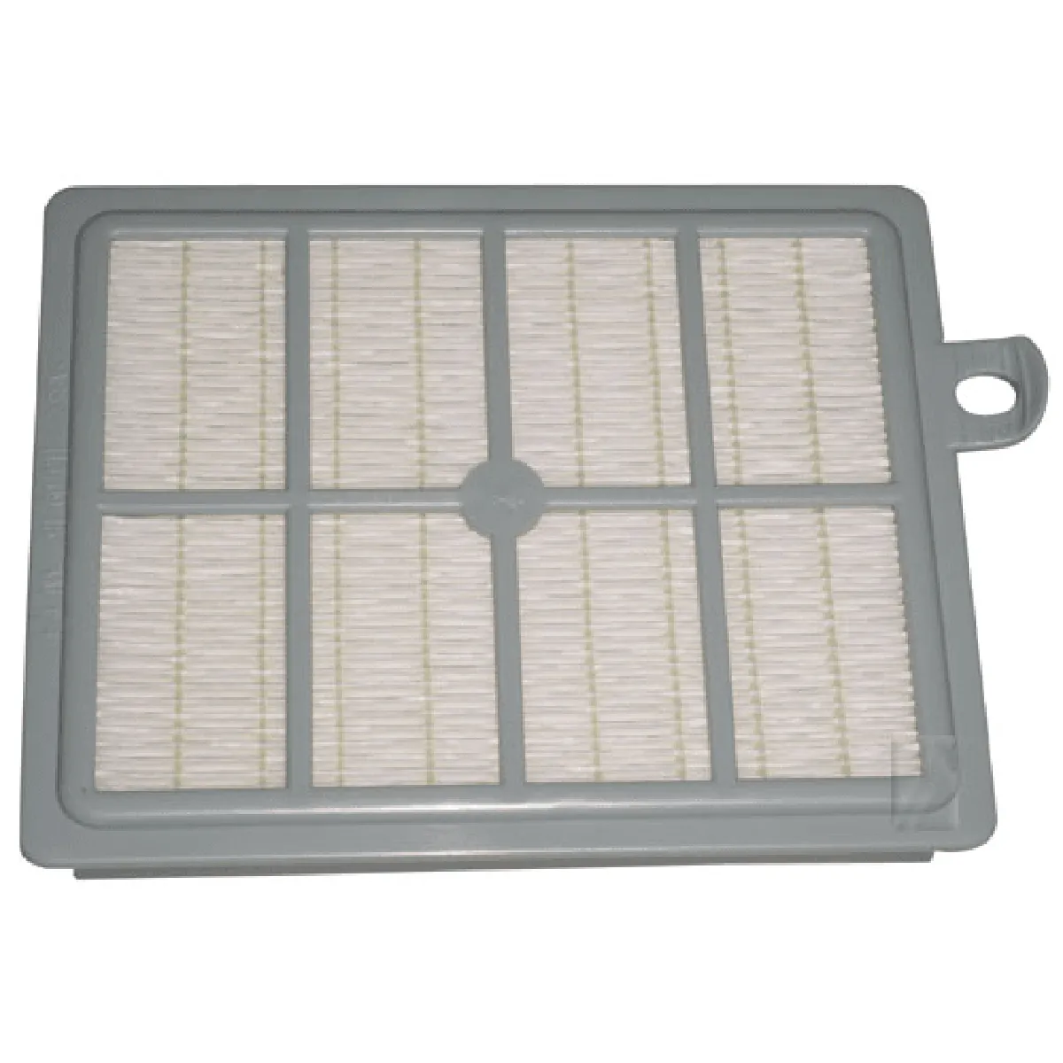 Philips filtre HEPA pour aspirateur FC8031