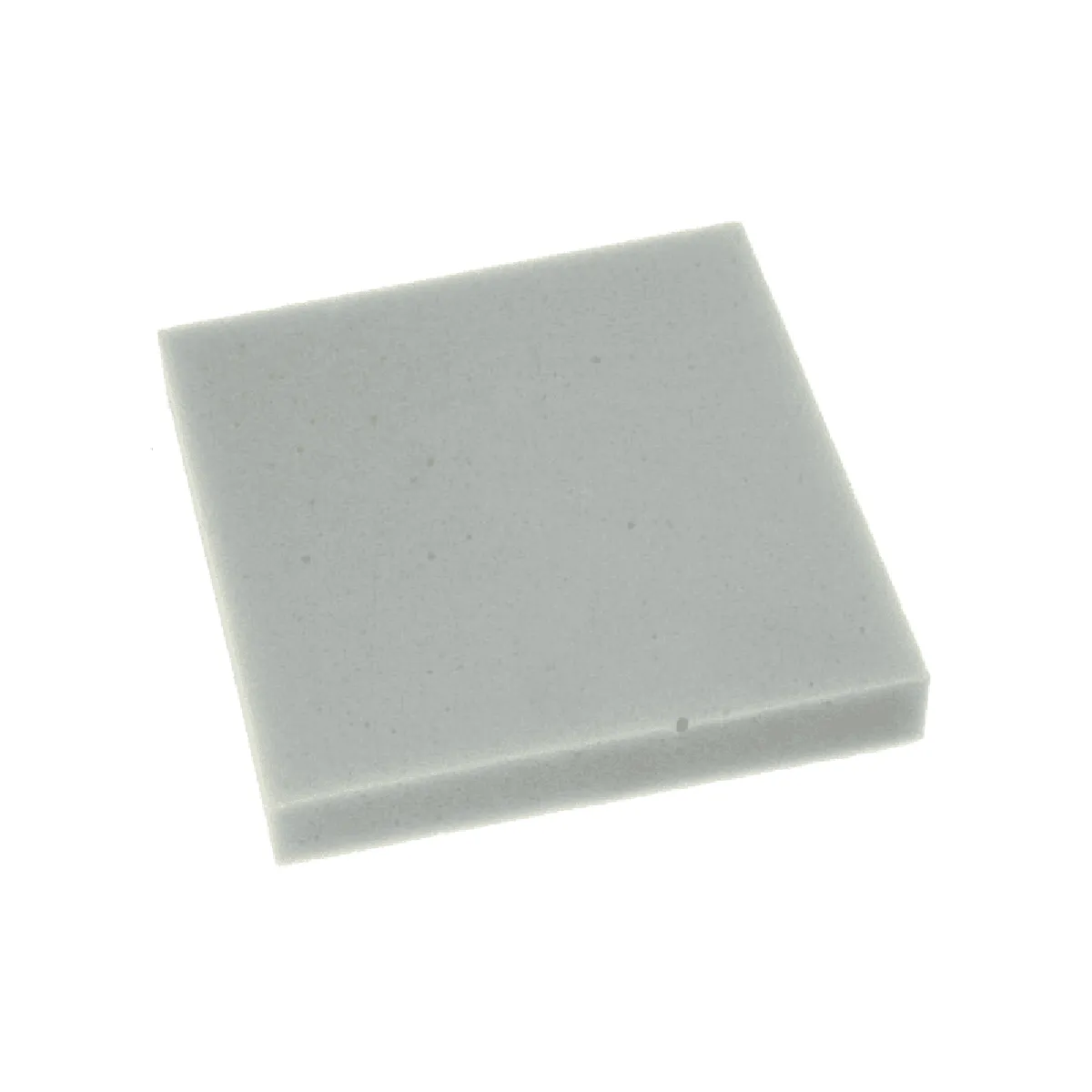 Bosch Filtre mousse pour aspirateur traîneau