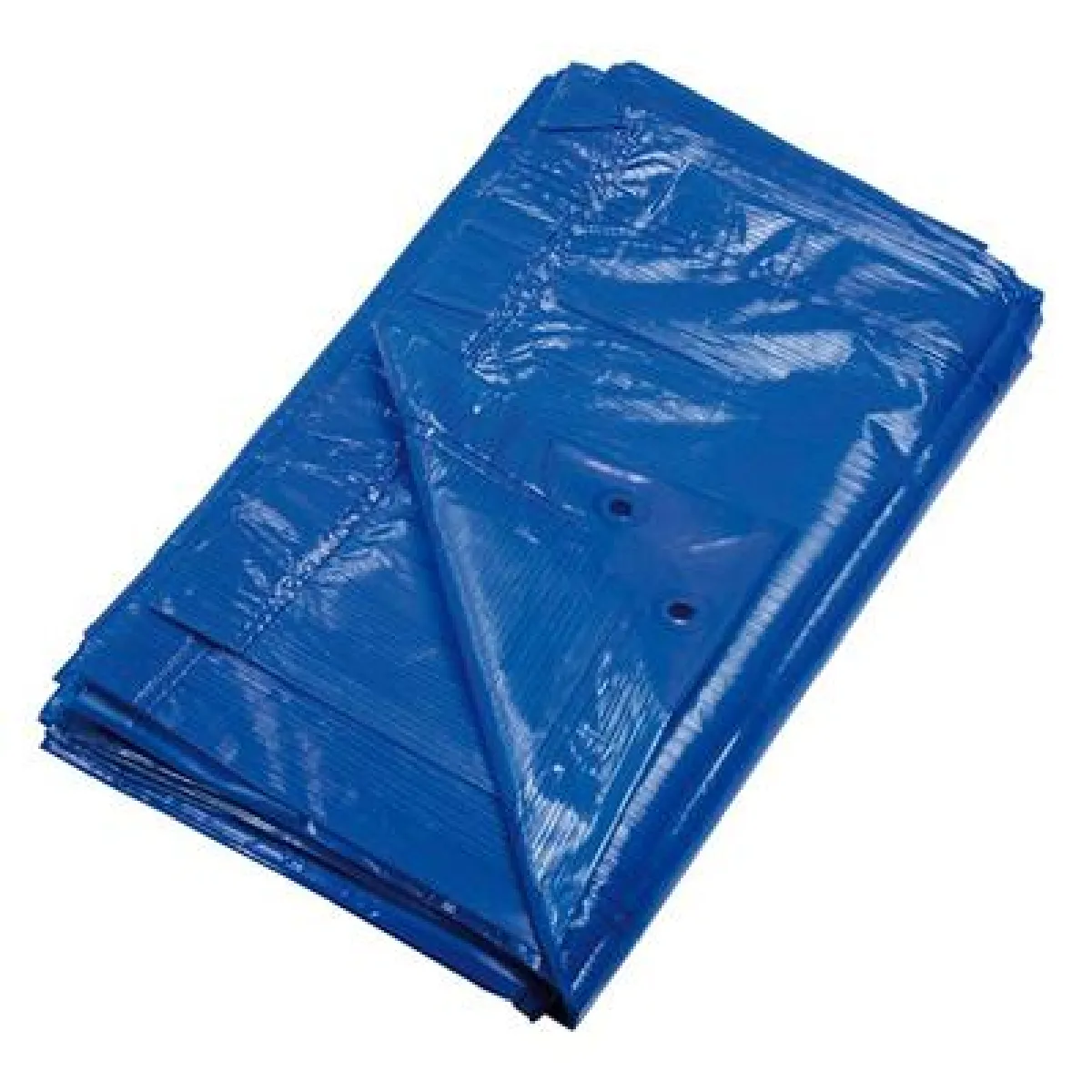 Ribimex Bleu Bâche De Protection En Polyéthylène Ecoplatinium - 2 X 3 M