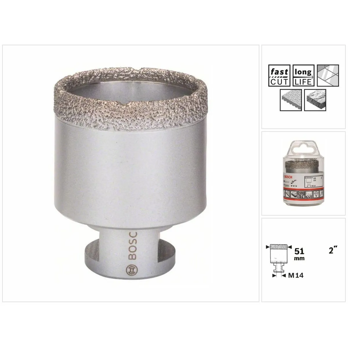 Bosch Diamond Dry Speed