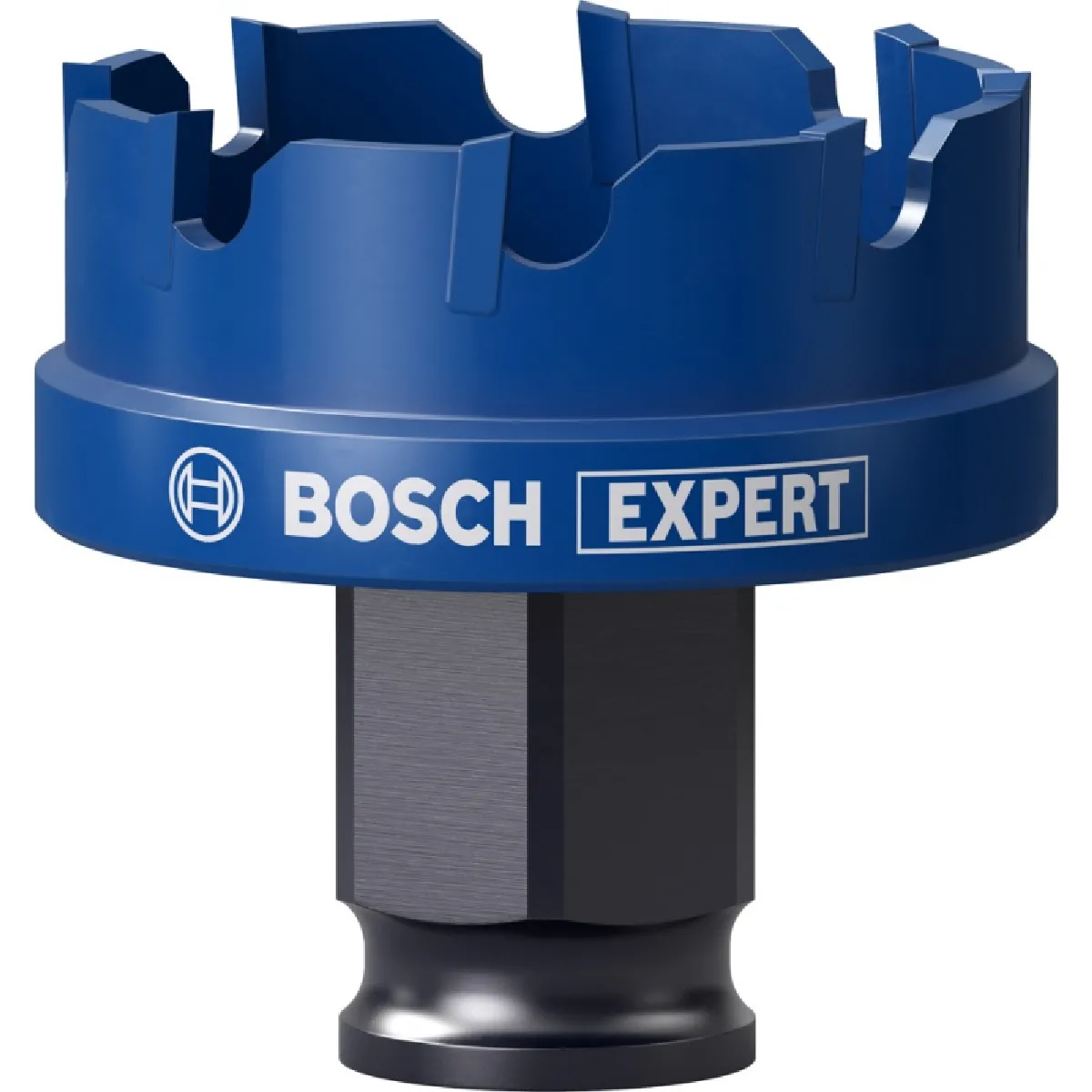 BOSCH Scie Trépan Expert