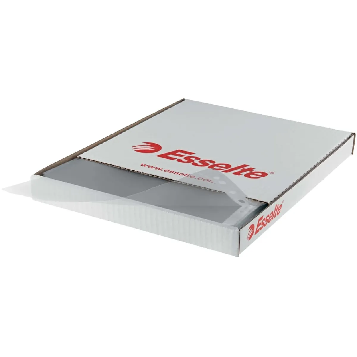 Esselte Transparent Pochette Robuste 100 Pcs A4 - Image 3