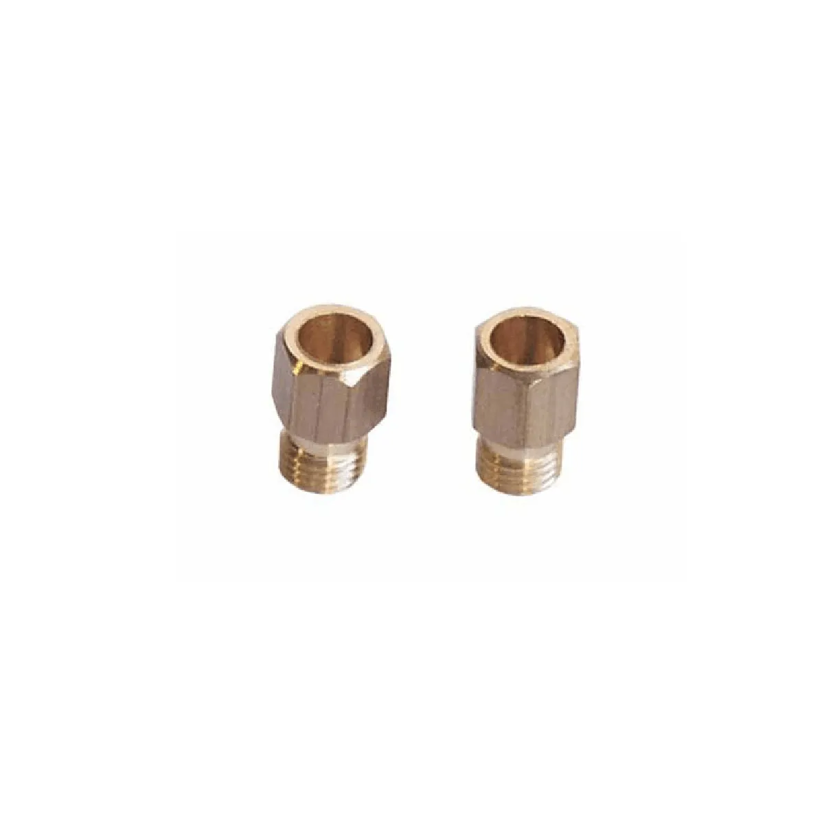 Indesit Sachet 2 Injecteurs Gaz Nat