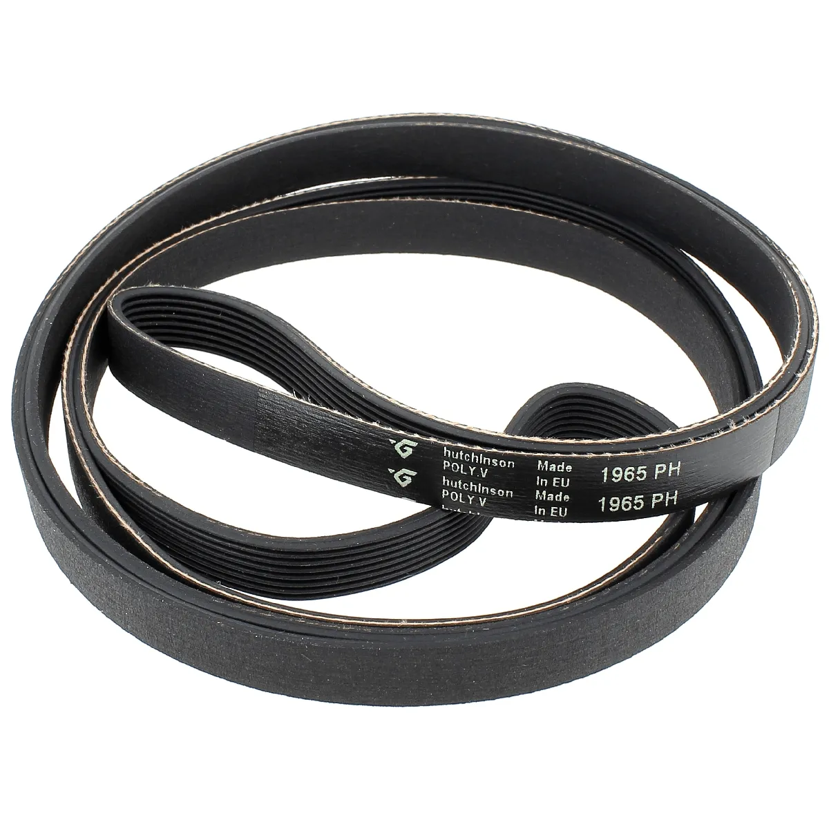 Whirlpool Courroie 1965 H8 Poly V - vue 4